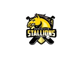 Stallion